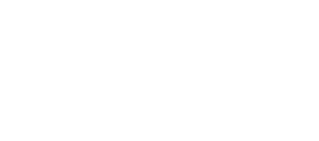 Logo Es Mayolet