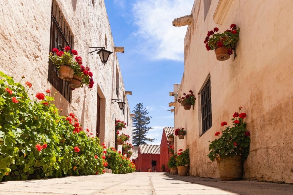 Discover what to do on a rural getaway in Mallorca: nature, charming villages, routes, gastronomy and agritourism to disconnect.