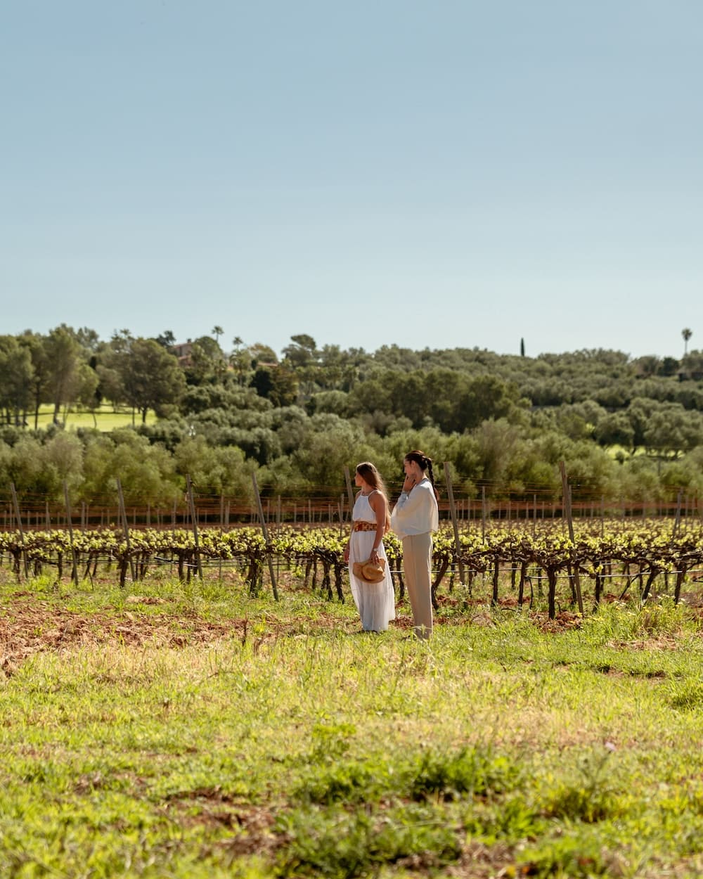 Agroturismo y finca hotel en Mallorca. Disfrútalo.
