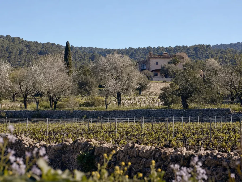 Best time to visit Mallorca — Mayolet Agrotourism guide
